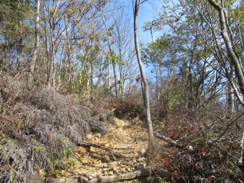 登山道
